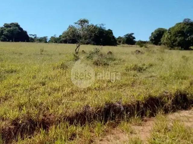 Sítio e chácara venda em Região Geográfica Imediata de Guaxupé, Guaxupé