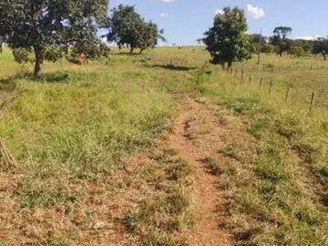 Sítio e chácara venda em Região Geográfica Imediata de Ituiutaba, Gurinhatã