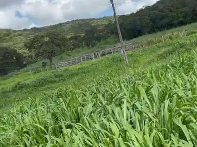 Sítio e chácara venda em Região Geográfica Imediata de Gurupi, Gurupi