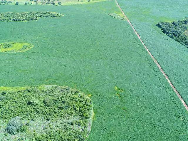 Sítio e chácara venda em Região Geográfica Imediata de Gurupi, Gurupi