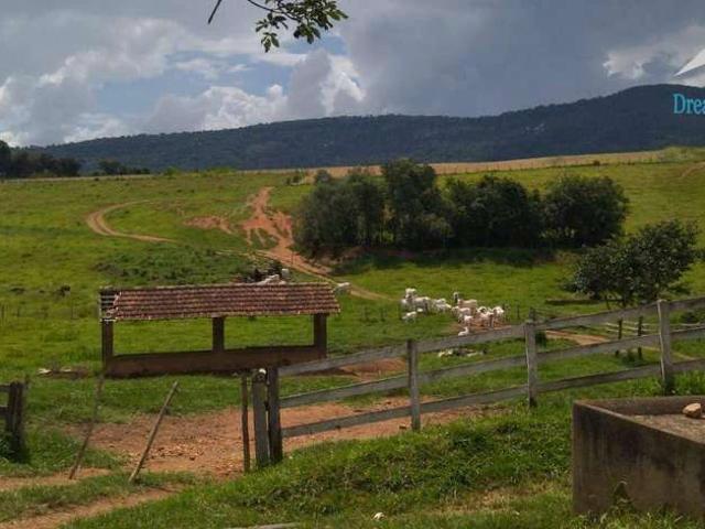 Sítio e chácara venda em Heliodora, Região Geográfica Intermediária de Pouso Alegre