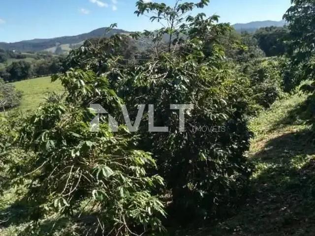Sítio e chácara venda em Região Geográfica Imediata de Pouso Alegre, Heliodora