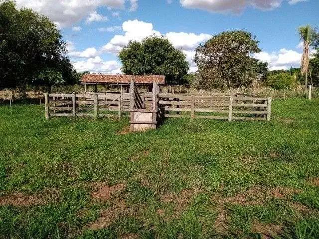 Sítio e chácara venda em Região Imediata de Tupã, Herculândia