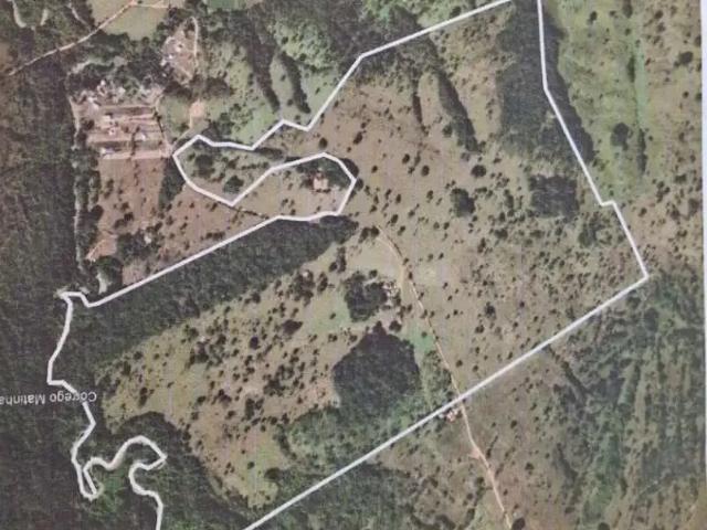 Sítio e chácara venda em Região Geográfica Imediata de Goiânia, Hidrolândia
