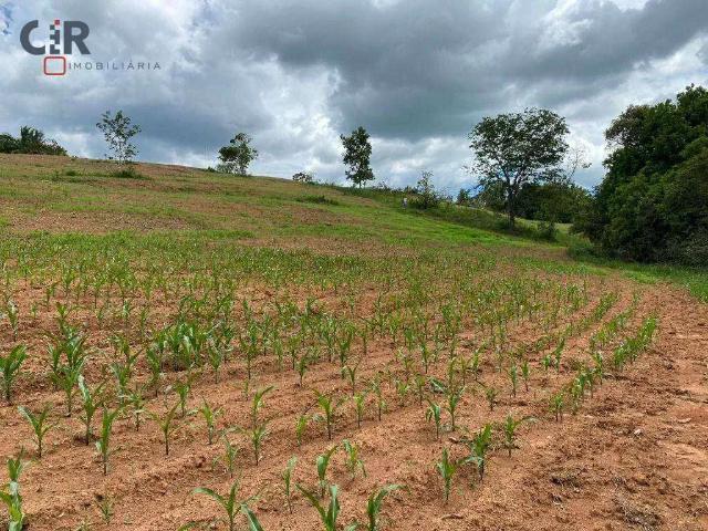Sítio e chácara venda em Região Geográfica Imediata de Goiânia, Hidrolândia
