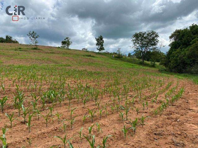 Sítio e chácara venda em Hidrolândia, Região Geográfica Intermediária de Goiânia