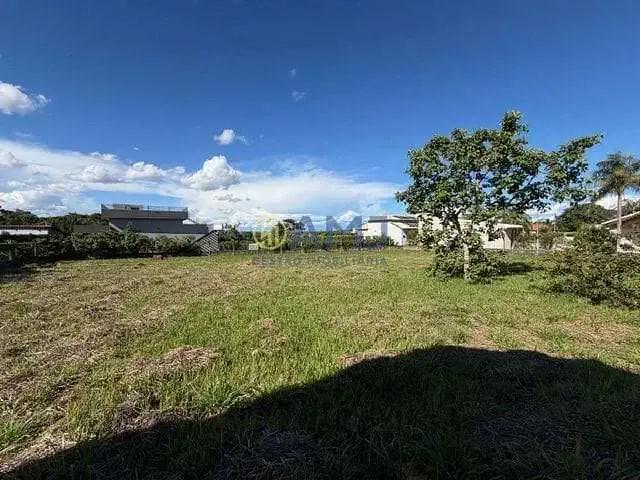Sítio e chácara venda em Região Geográfica Imediata de Goiânia, Hidrolândia
