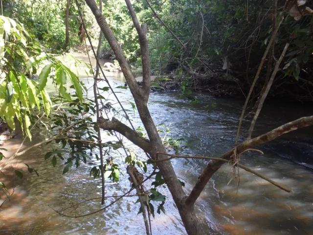 Sítio e chácara venda em Região Geográfica Imediata de Piracanjuba, Professor Jamil