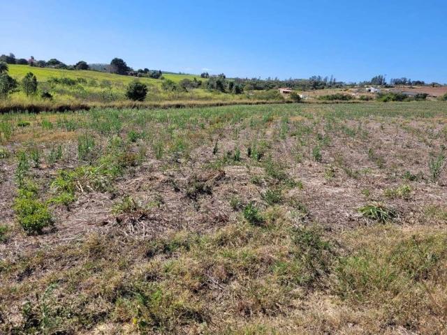 Sítio e chácara venda em Região Imediata de Campinas, Região Metropolitana de Campinas