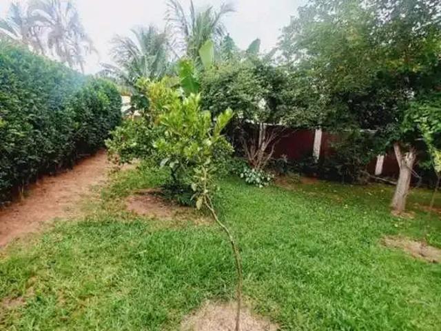 Sítio e chácara venda em Região Imediata de Campinas, Região Metropolitana de Campinas