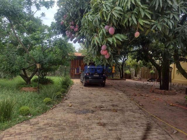 Sítio e chácara venda em Região Imediata de Campinas, Região Metropolitana de Campinas