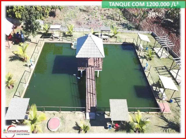 Sítio e chácara venda em Região Imediata de Campinas, Região Metropolitana de Campinas