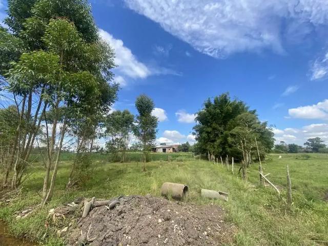 Sítio e chácara venda em Região Geográfica Imediata de Criciúma, Içara