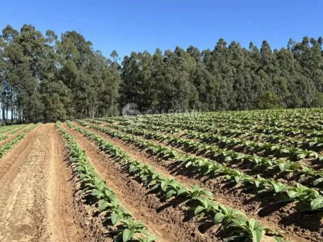 Sítio e chácara venda em Região Geográfica Imediata de Criciúma, Içara