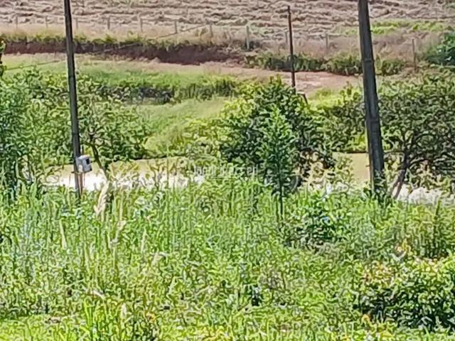Sítio e chácara venda em Região Geográfica Imediata de Ibaití, Ibaiti