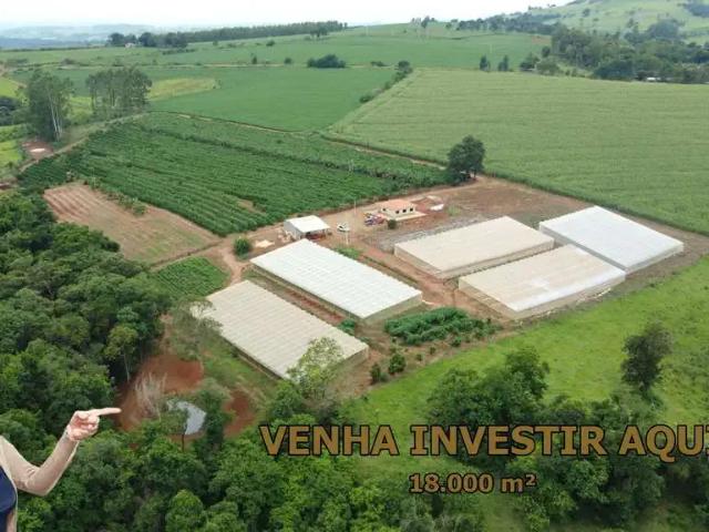 Sítio e chácara venda em Região Geográfica Imediata de Ibaití, Ibaiti