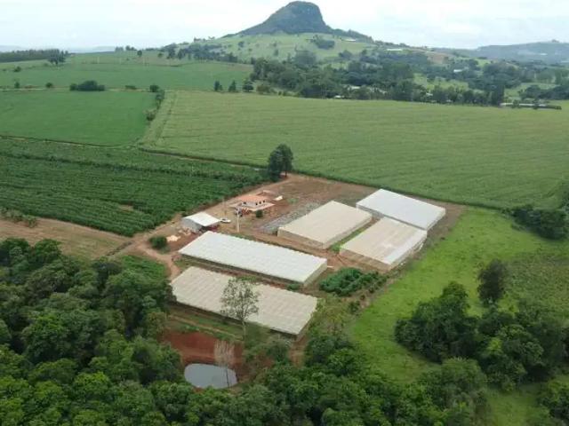 Sítio e chácara venda em Região Geográfica Imediata de Ibaití, Ibaiti