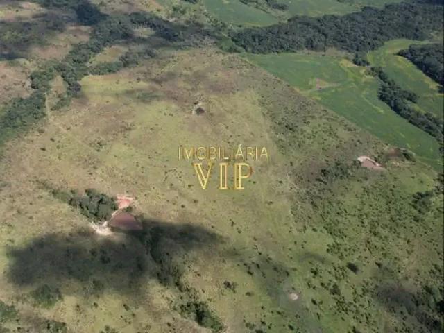 Sítio e chácara venda em Região Geográfica Imediata de Ibaití, Ibaiti