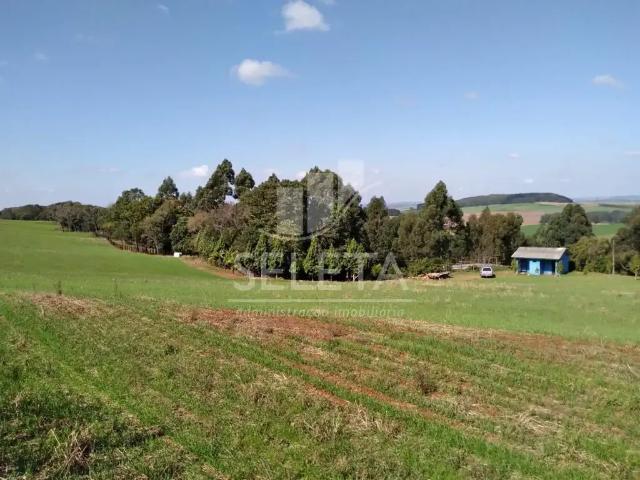 Sítio e chácara venda em Região Geográfica Imediata de Cascavel, Ibema