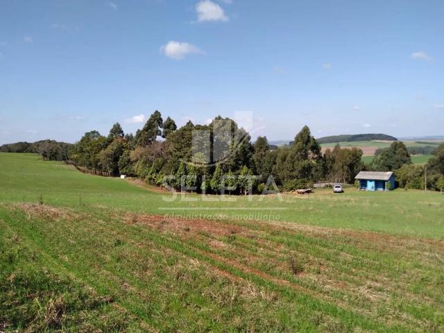 Sítio e chácara venda em Ibema, Região Geográfica Intermediária de Cascavel