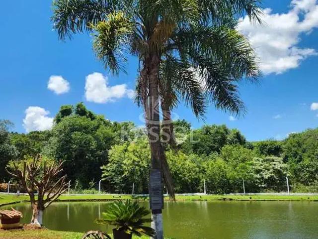 Sítio e chácara venda em Região Geográfica Imediata de Cascavel, Ibema