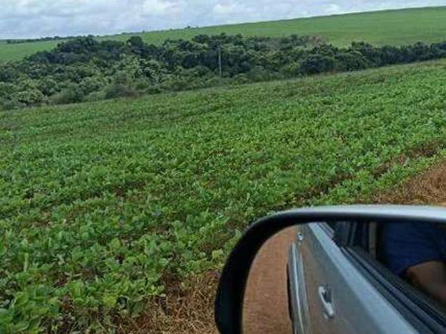 Sítio e chácara venda em São Benedito, Ibiá