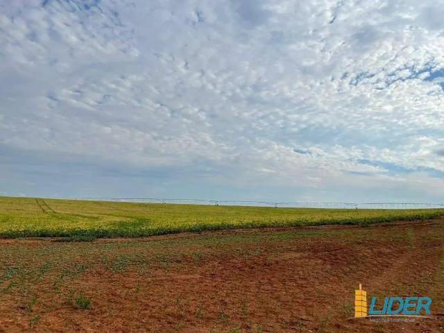Sítio e chácara venda em Região Geográfica Imediata de Araxá, Ibiá
