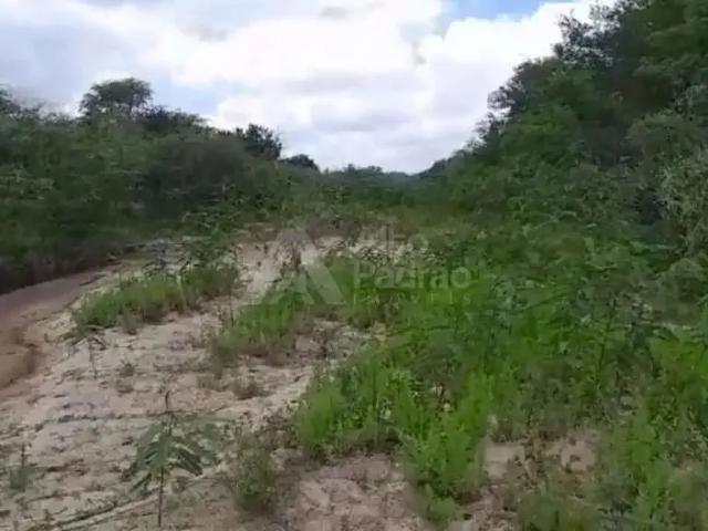 Sítio e chácara venda em Ibimirim, Região Nordeste