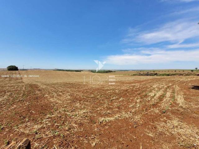 Sítio e chácara venda em Ibiporã, Paraná