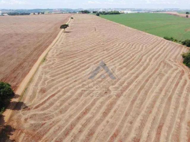 Sítio e chácara venda em Região Geográfica Imediata de Londrina, Ibiporã