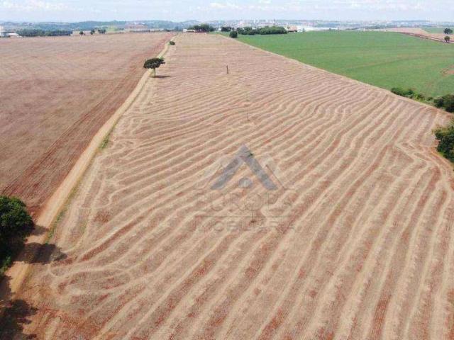 Sítio e chácara venda em Vila Esperança, Ibiporã