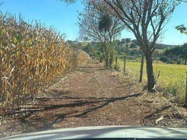 Sítio e chácara venda em Castelo Branco, Ibiporã