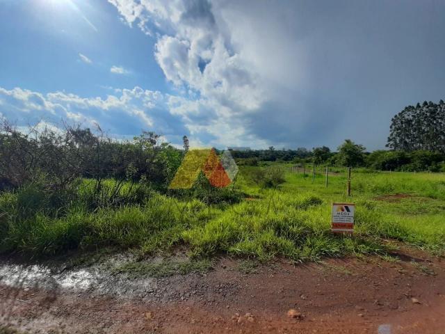 Sítio e chácara venda em Jardim Paraíso, Ibiporã