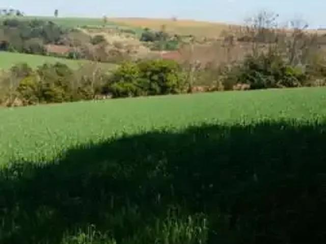 Sítio e chácara venda em Região Geográfica Imediata de Londrina, Ibiporã