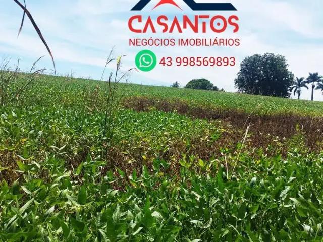 Sítio e chácara venda em Região Geográfica Imediata de Pato Branco, Região Sul