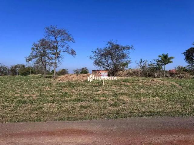 Sítio e chácara venda em Região Geográfica Imediata de Londrina, Ibiporã
