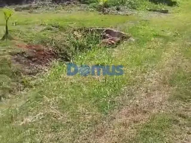 Sítio e chácara venda em Região Geográfica Imediata de Londrina, Ibiporã