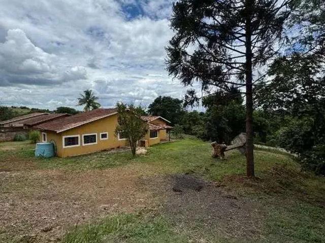 Sítio e chácara venda em Região Geográfica Imediata de Londrina, Ibiporã