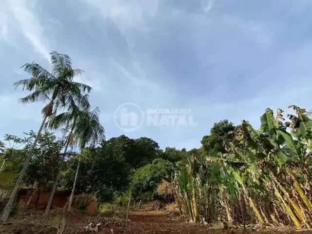 Sítio e chácara venda em Região Geográfica Imediata de Londrina, Ibiporã
