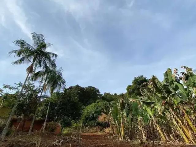 Sítio e chácara venda em Região Geográfica Imediata de Londrina, Ibiporã