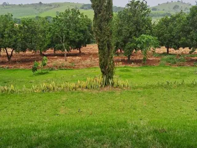 Sítio e chácara venda em Centro, Ibiporã
