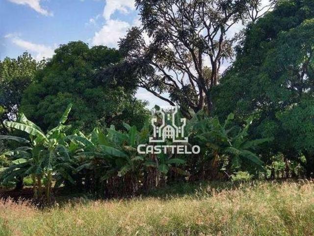 Sítio e chácara venda em Região Geográfica Imediata de Londrina, Ibiporã