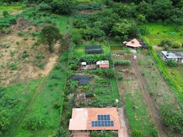 Sítio e chácara venda em Kaluana, Ibiporã