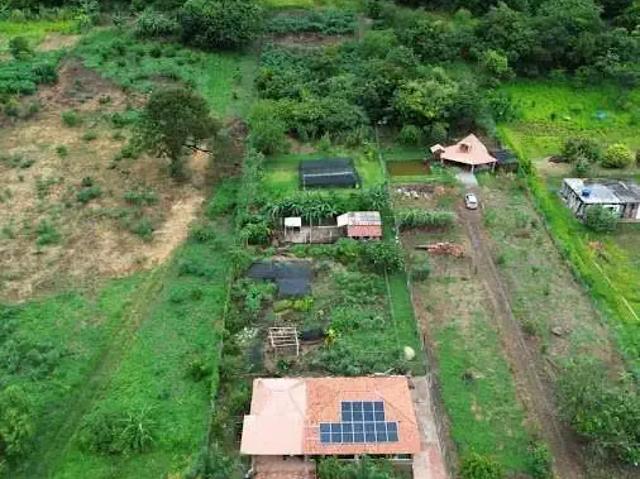 Sítio e chácara venda em Região Geográfica Imediata de Londrina, Ibiporã