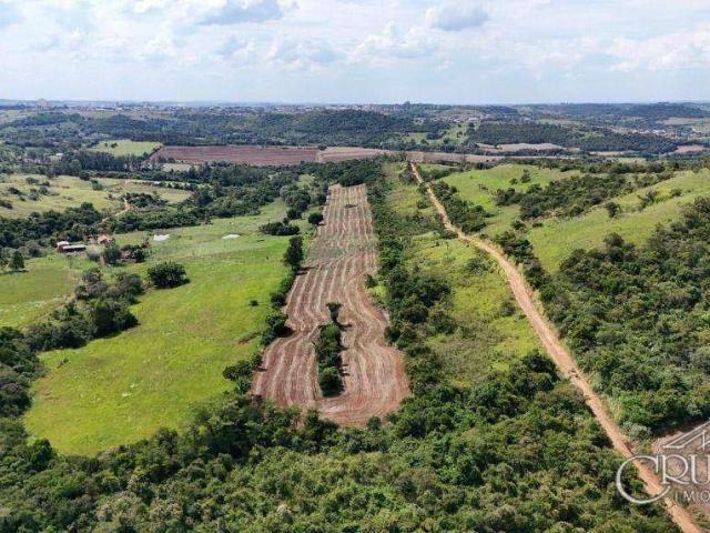 Sítio e chácara venda em Região Geográfica Imediata de Londrina, Ibiporã