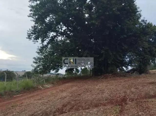 Sítio e chácara venda em Região Geográfica Imediata de Ivaiporã, Ivaiporã