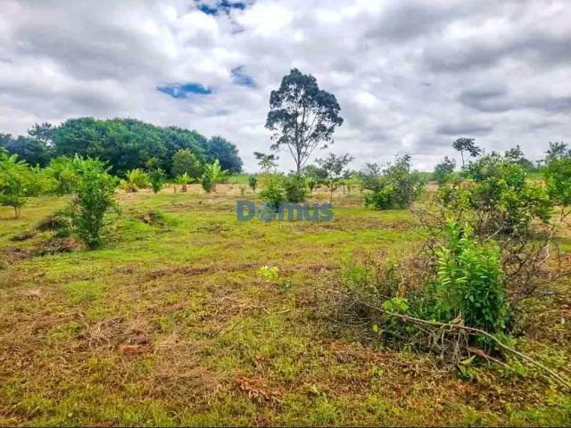 Sítio e chácara venda em Região Geográfica Imediata de Londrina, Ibiporã