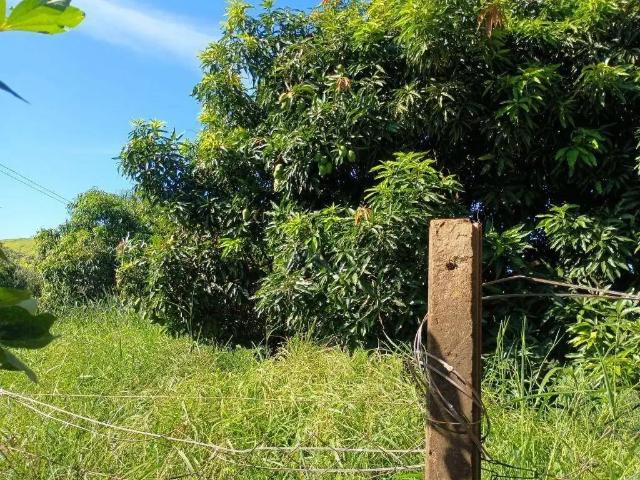 Sítio e chácara venda em Região Geográfica Imediata de Londrina, Ibiporã