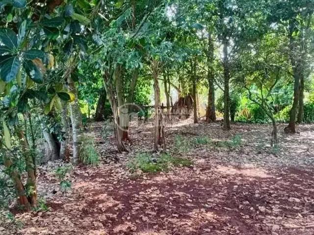 Sítio e chácara venda em Região Geográfica Imediata de Londrina, Ibiporã