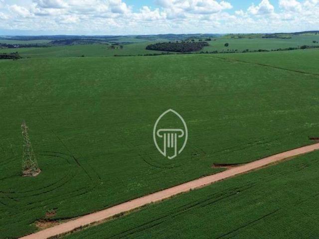 Sítio e chácara venda em Região Geográfica Imediata de Londrina, Ibiporã